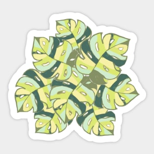 Monstera leaves green Sticker